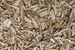 biomass boilers Menstrie